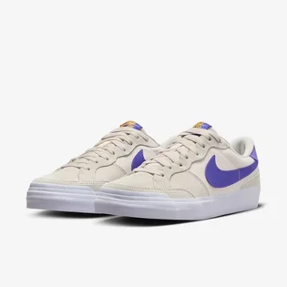 Кросівки чоловічі Nike Sb Zoom Pogo Plus Beige DV5469-003