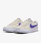 Кросівки чоловічі Nike Sb Zoom Pogo Plus Beige DV5469-003