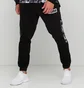 Штани чоловічі Puma Rebel Camo Pants Cl Fleece Black 580559-01