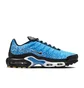 Кроссовки мужские Nike Air Max Plus Blue HM0718-400