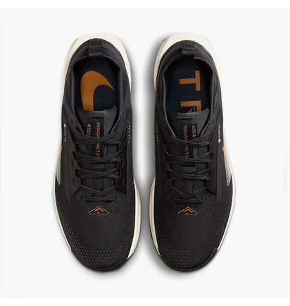 Кроссовки мужские Nike Pegasus Trail 5 Gore-Tex Black FQ0908-007