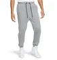 Штаны мужские Air Jordan Essentials Pants Grey DA9820-091