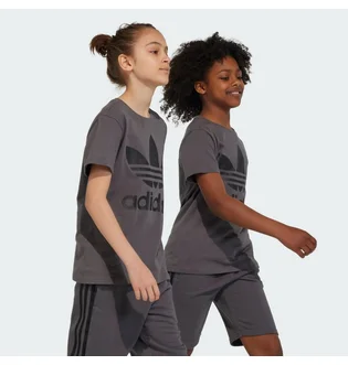 Футболка детская Adidas Trefoil Originals Grey IJ7178