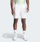 Шорти чоловічі Adidas Tennis Ergo White IQ4731