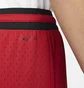 Шорти чоловічі Air Jordan Dri-Fit Air Diamond Red DH9075-687
