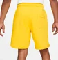 Шорти чоловічі Air Jordan Essentials Fleece Shorts Yellow DA9826-719