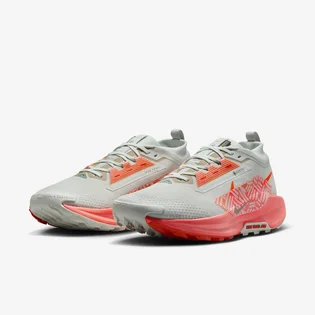 Кроссовки мужские Nike Pegasus Trail 5 Gtx Grey/Orange FQ0908-004