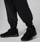 Штаны мужские Air Jordan Black IH3320-010