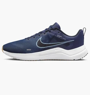 Кроссовки мужские Nike Downshifter 12 Blue Dd9293-400