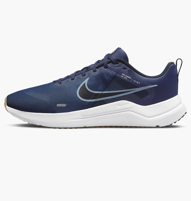 Кроссовки мужские Nike Downshifter 12 Blue Dd9293-400