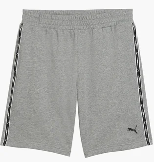 Шорти чоловічі Puma Ess Grey 691696-03