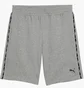 Шорти чоловічі Puma Ess Grey 691696-03