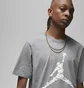 Футболка чоловіча Air Jordan T-Shirt Essentials Grey DX9581-091