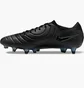 Бутсы унисекс Nike Legend 10 Elite Sg-Pro Ac Black DV4329-002