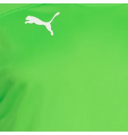 Лонгслив мужской Puma Padded Long-Sleeved Goalkeeper Green 701918-43