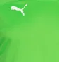Лонгслив мужской Puma Padded Long-Sleeved Goalkeeper Green 701918-43