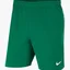 Шорты мужские Nike Df Vnm Short Iii Wvn Green Cw3855-302