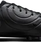 Бутсы унисекс Nike Legend 10 Elite Fg Black DV4328-002