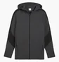 Толстовка мужская Puma Evostripe Core Fz Hoodie Black 631529-07