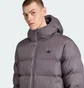 Пуховик чоловічий Adidas Tonal Hooded Originals Grey JX4122
