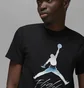 Футболка чоловіча Air Jordan Flight Metallic Graphic T-Shirt Black Dv8414-010
