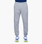 Штани чоловічі Nike Sportswear Club Fleece Grey BV2737-063