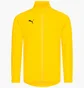 Олимпийка детская Puma Liga Sideline Yellow 655947-07