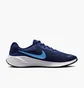 Кроссовки мужские Nike Revolution 7 Blue FB2207-406