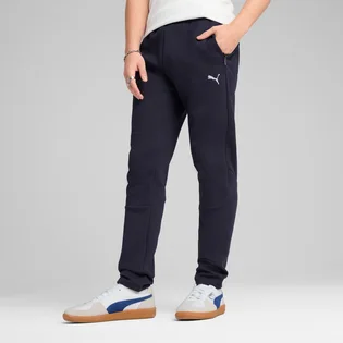 Штани чоловічі Puma Evostripe Blue 684614-16