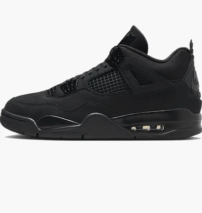 Кроссовки мужские Air Jordan 4 Retro Black Cat (2025) Black FV5029-010