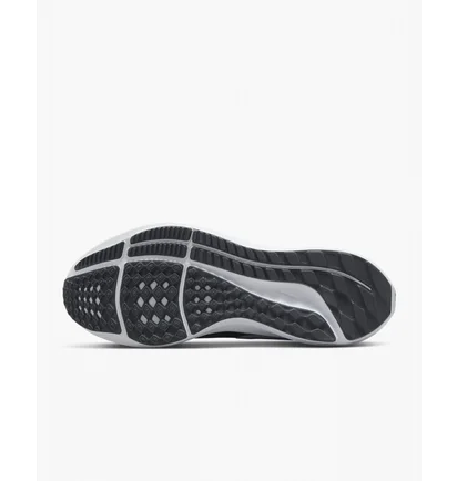 Кросівки жіночі Nike Air Zoom Pegasus 39 Black Dh4072-001