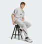 Футболка мужская Adidas Z.N.E. Tee Grey JF2457