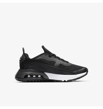 Кросівки дитячі Nike Air Max 2090 Gs Black Dd3236-001