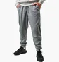 Штани чоловічі Air Jordan Essentials Grey FJ7779-091