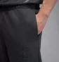 Штаны мужские Air Jordan Psg Stmt Grey HV3428-060