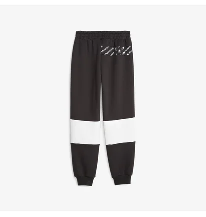 Штаны мужские Puma Bmw M Rsport Sds Black 621867-01