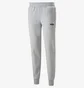 Штаны мужские Puma Essentials+ 2 Col Logo Grey 586767-04