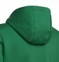 Худи детское Adidas Entrada Green Hi2143