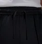 Штаны мужские Air Jordan Essentials Black HF9341-011