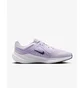 Кросівки жіночі Nike Quest 5 WomenS Road Running Shoes Violet DD9291-500