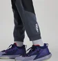 Штаны мужские Air Jordan Zion Pants Grey Dr2109-410