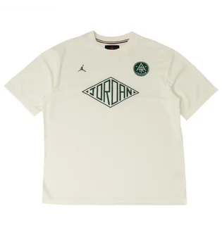Футболка мужская Air Jordan Essentials Tee Beige FV7263-100