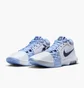 Кроссовки мужские Nike Lebron Witness Viii White HQ2139-100