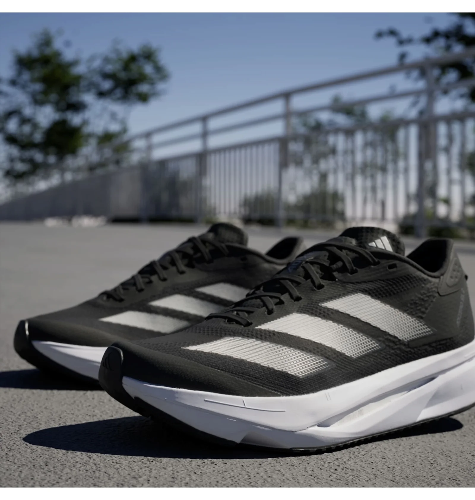 ᐉ Кроссовки женские Adidas Adizero Sl2 Running Black IF6769