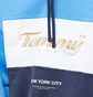 Худи мужское Tommy Jeans Archive Hoody Blue/Light Blue DM0DM14200-C87