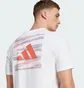Футболка мужская Adidas Fc Bayern 25/26 Seasonal Graphic White JM9446