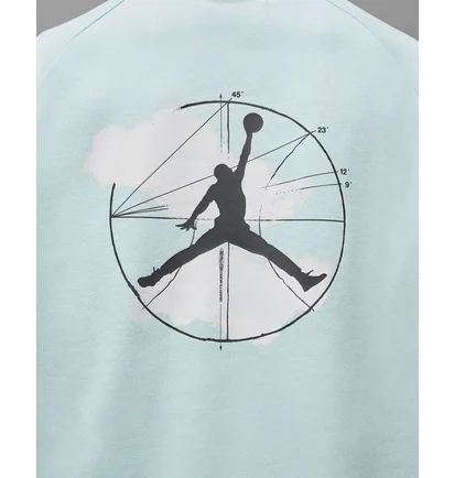 Худи мужское Air Jordan Dri-Fit Sport Graphic Fleece Pullover Hoodie Light Blue FQ6808-346