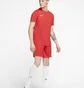 Футболка чоловіча Nike M Df Park Vii Jsy Ss Red Bv6708-657