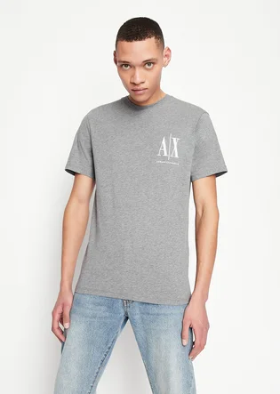 Футболка мужская Armani Exchange Icon Logo Regular Fit T-Shirt Grey 8NZTPHZJH4Z13930