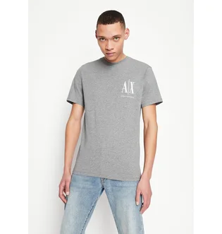 Футболка мужская Armani Exchange Icon Logo Regular Fit T-Shirt Grey 8NZTPHZJH4Z13930